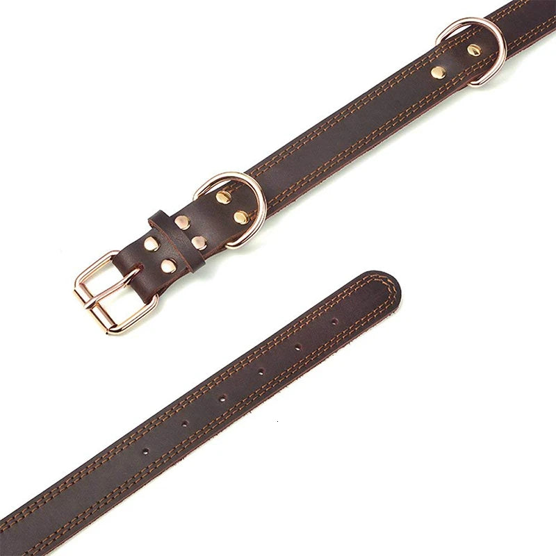 Premium Leather Dog Collar
