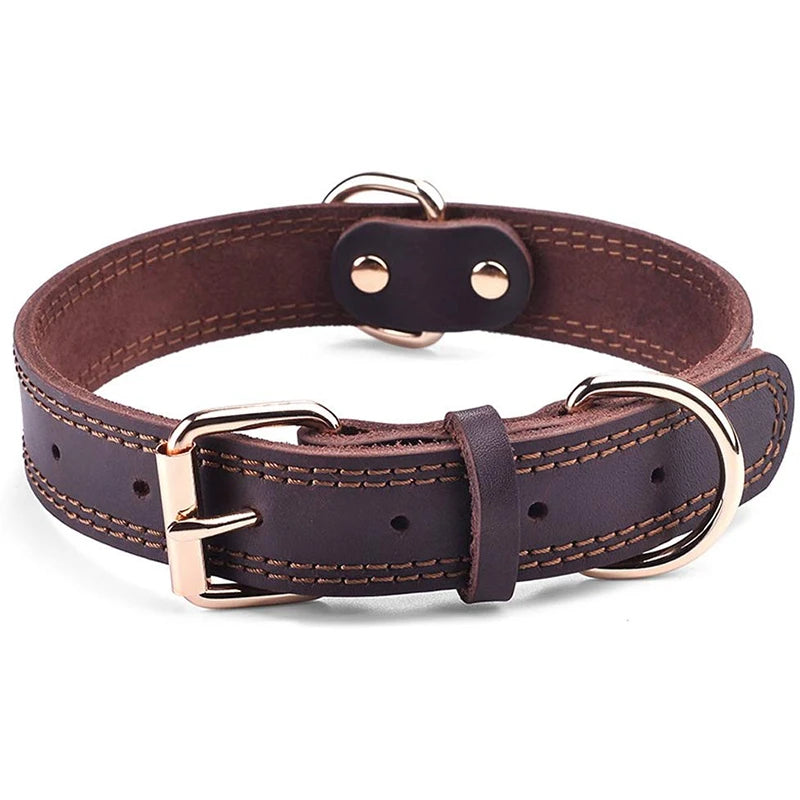 Premium Leather Dog Collar