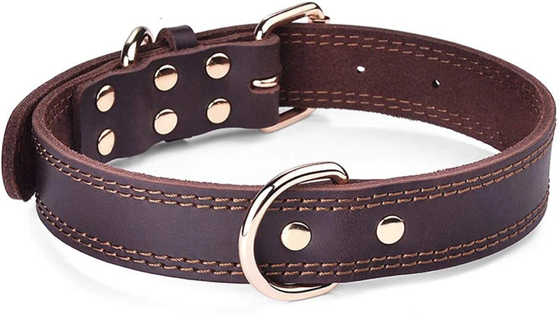 Premium Leather Dog Collar