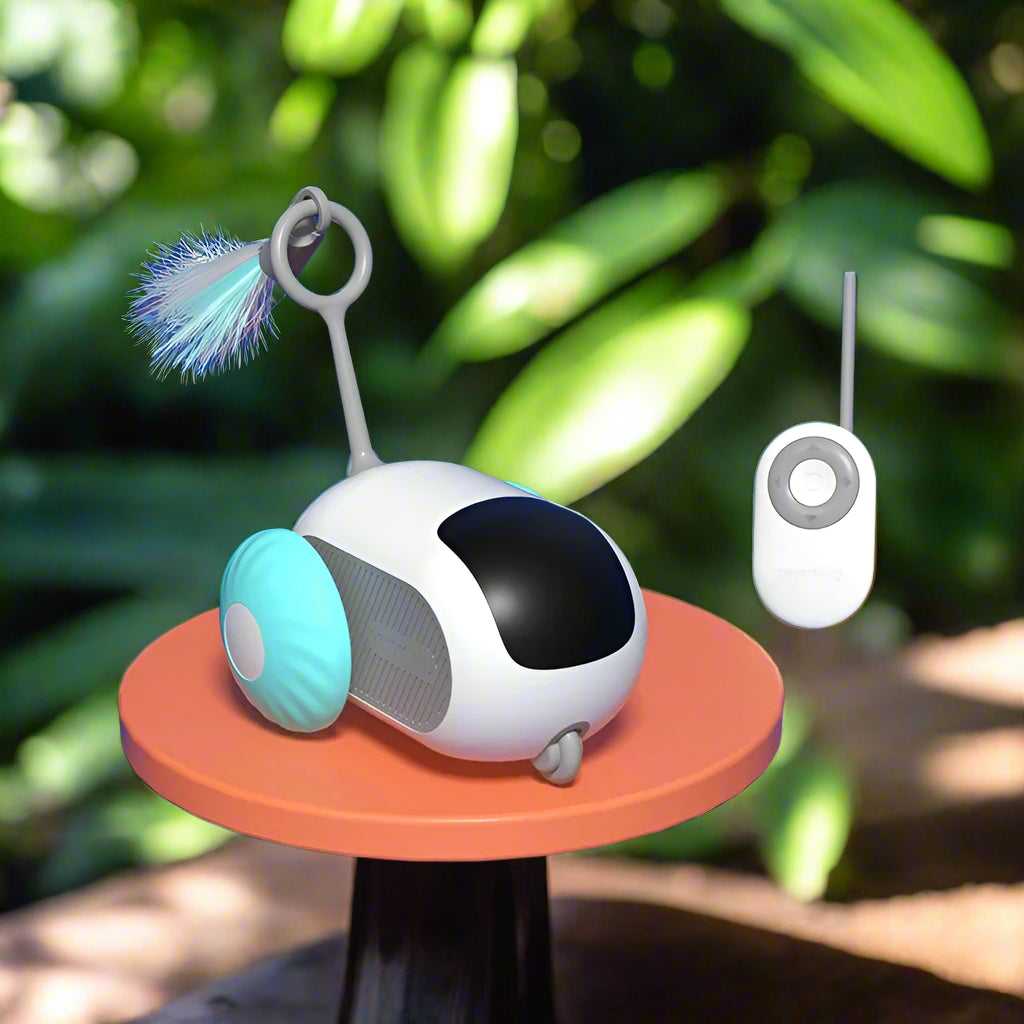 Smart Interactive Toy Car for Cats