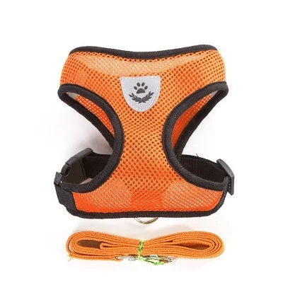 Reflective Mesh Harness & Leash Set