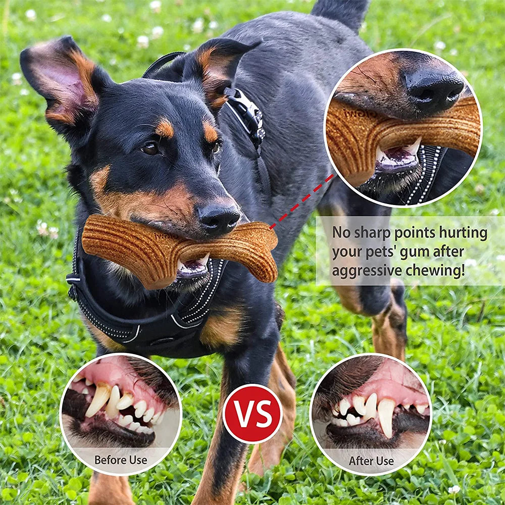Antler Chewy Toy for Dogs