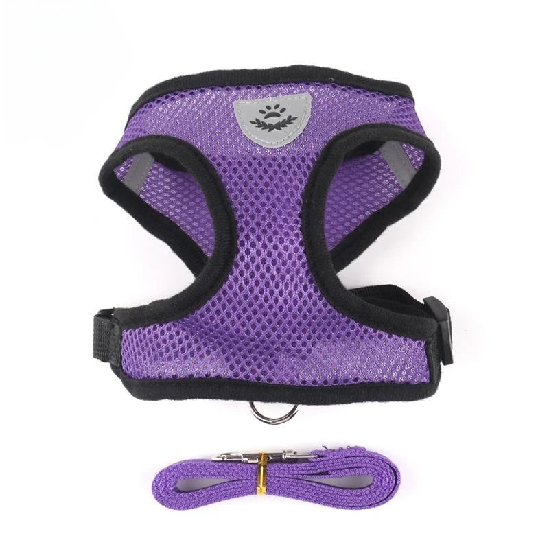 Reflective Mesh Harness & Leash Set