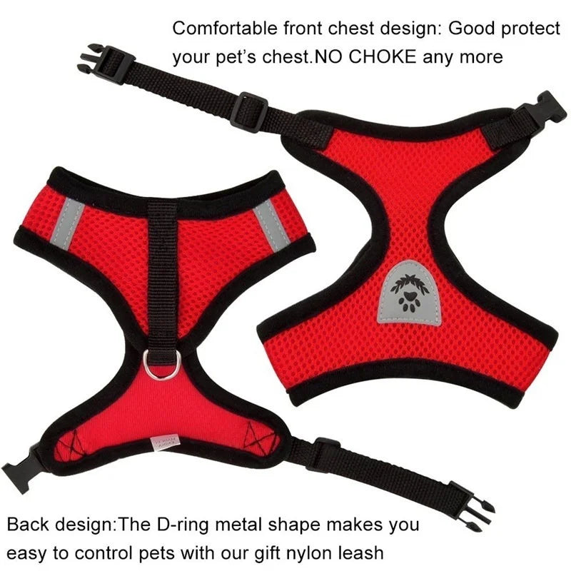 Reflective Mesh Harness & Leash Set