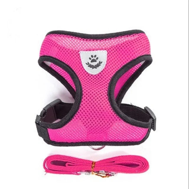 Reflective Mesh Harness & Leash Set