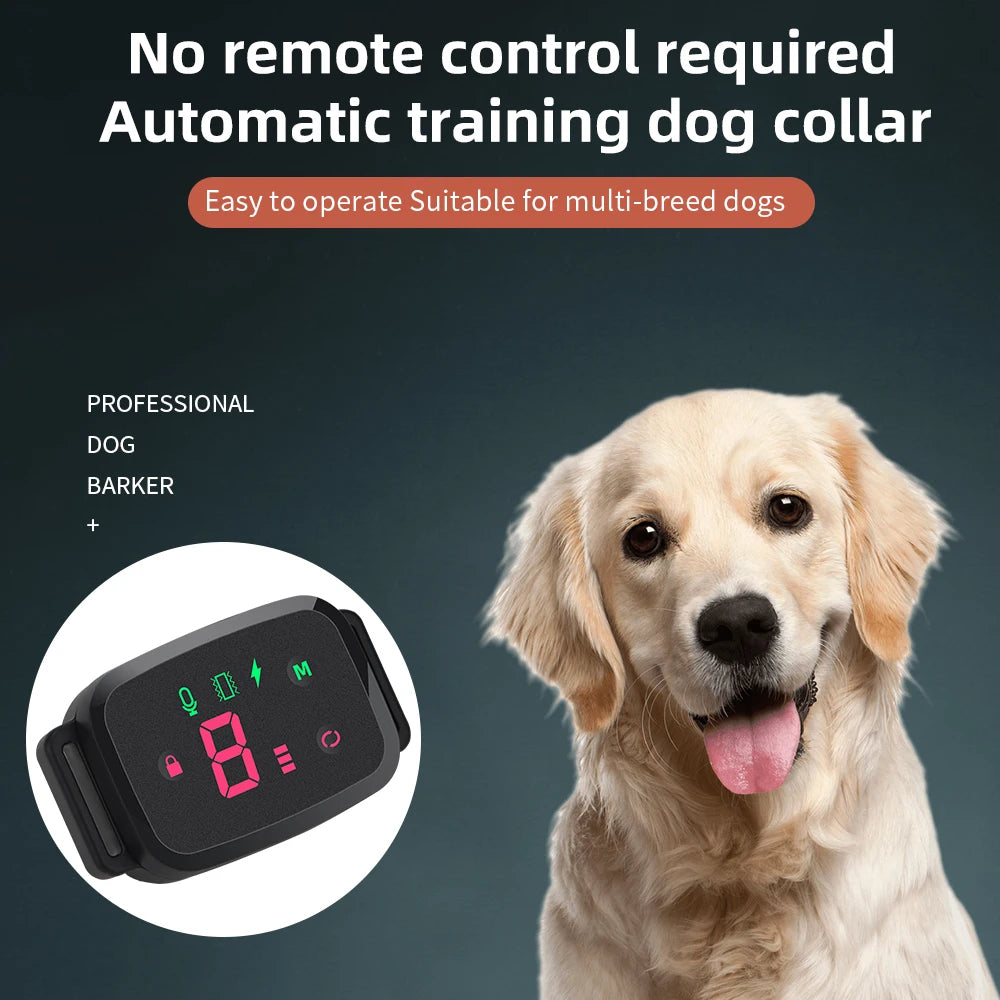Automatic Dog Training Collar