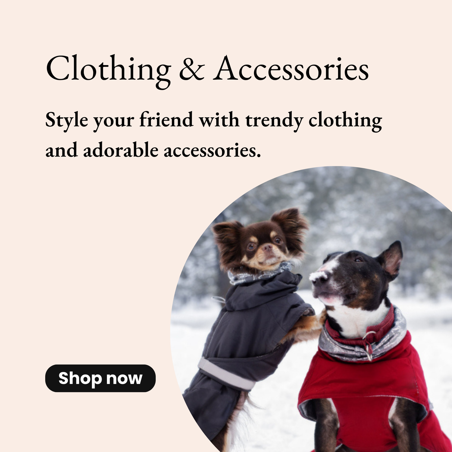 Clothing & Accessories