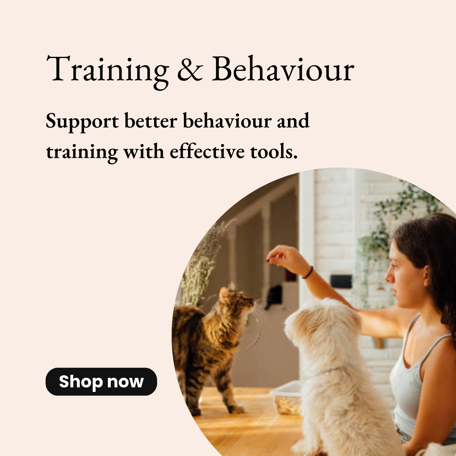 Training & Behavior