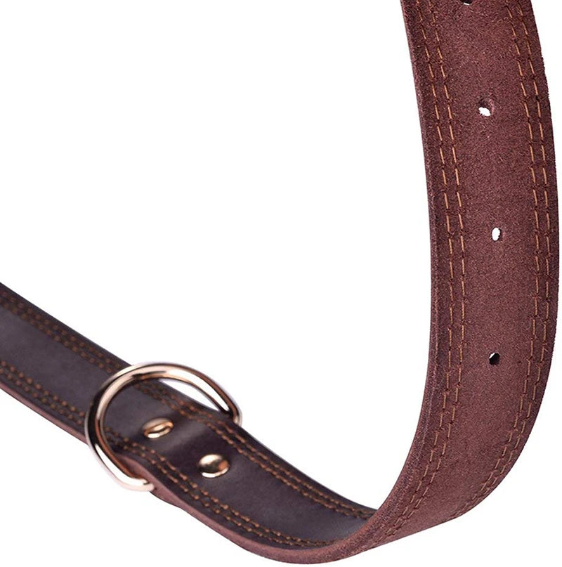 Premium Leather Dog Collar