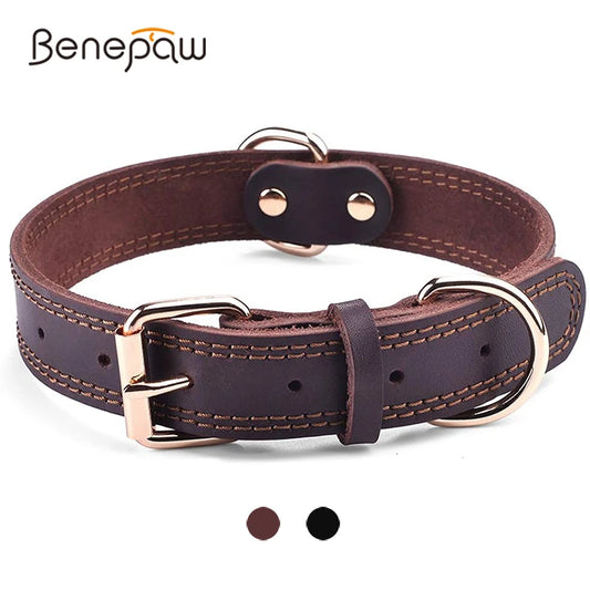 Premium Leather Dog Collar