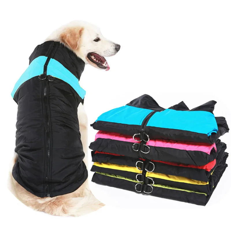 Winter coat for dogs