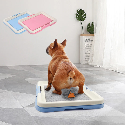 Indoor Training Potty for Pets