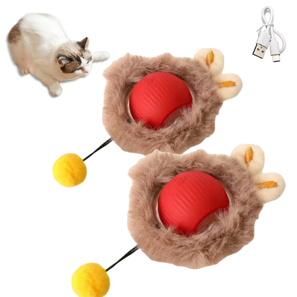 Automatic Cat Ball