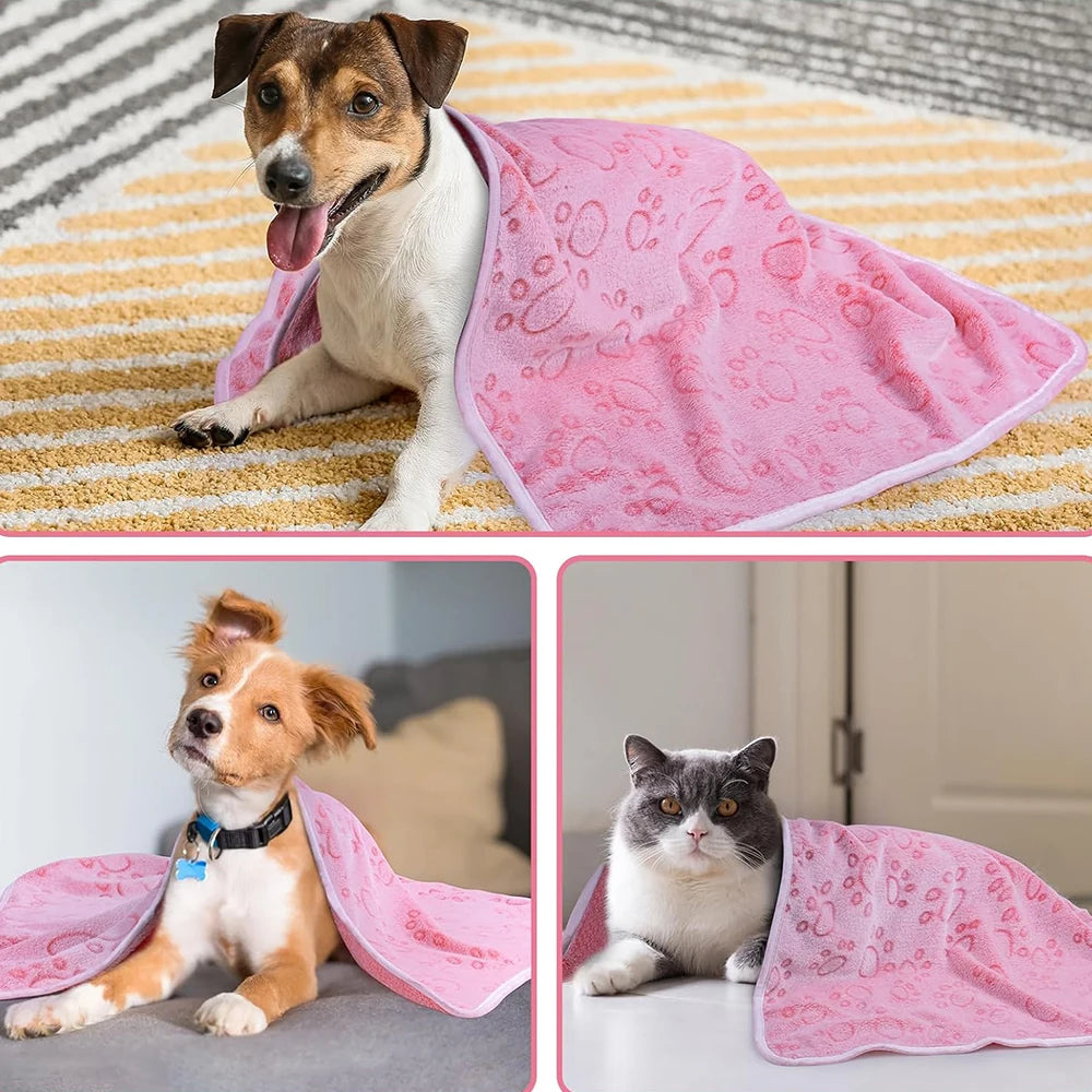 Paw-Print Blanket