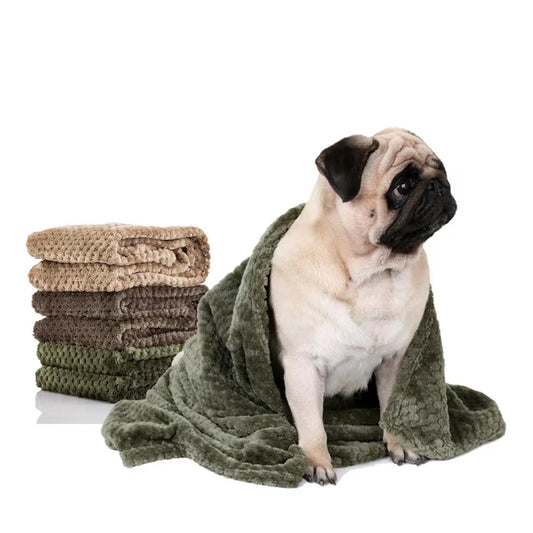 Blanket