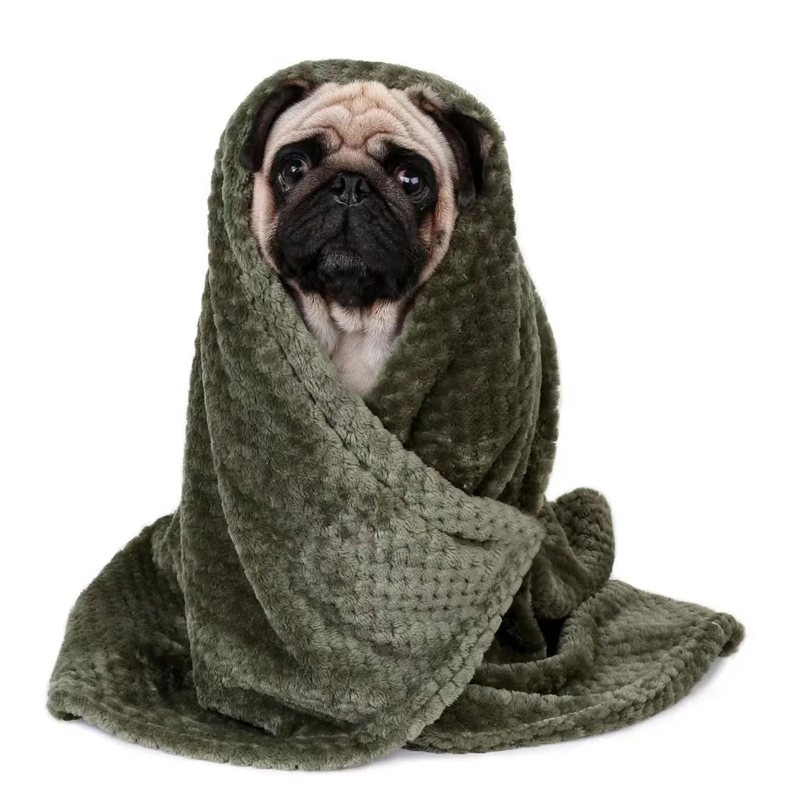 Blanket