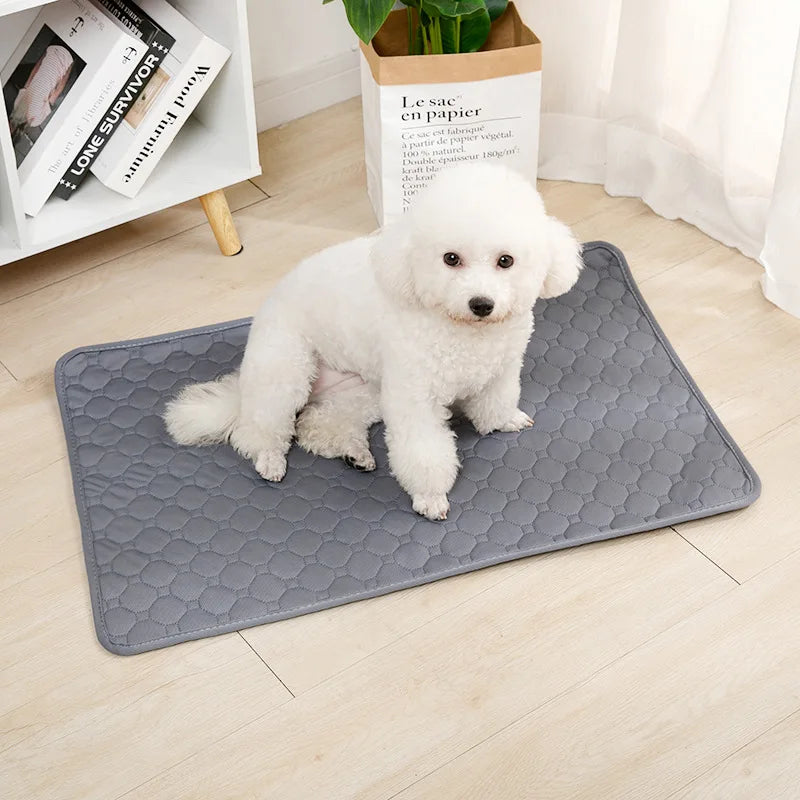 Reusable Training Pads