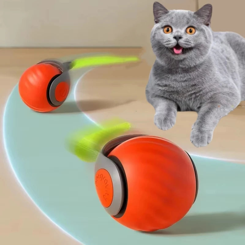 Automatic Cat Ball