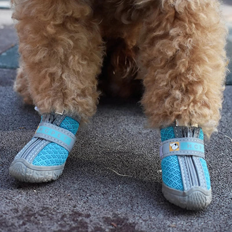 Dog Shoes