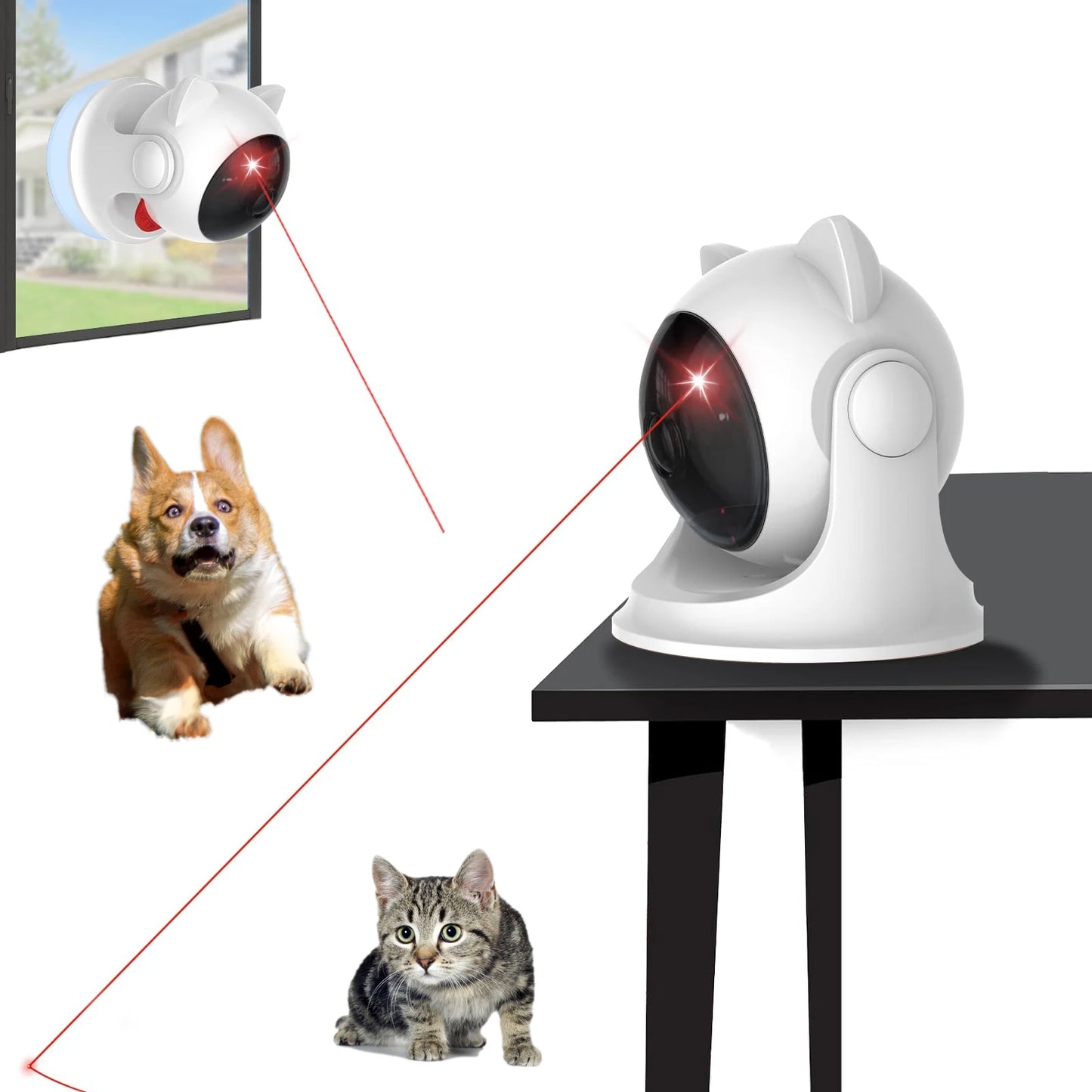 Laser Toy for Cats