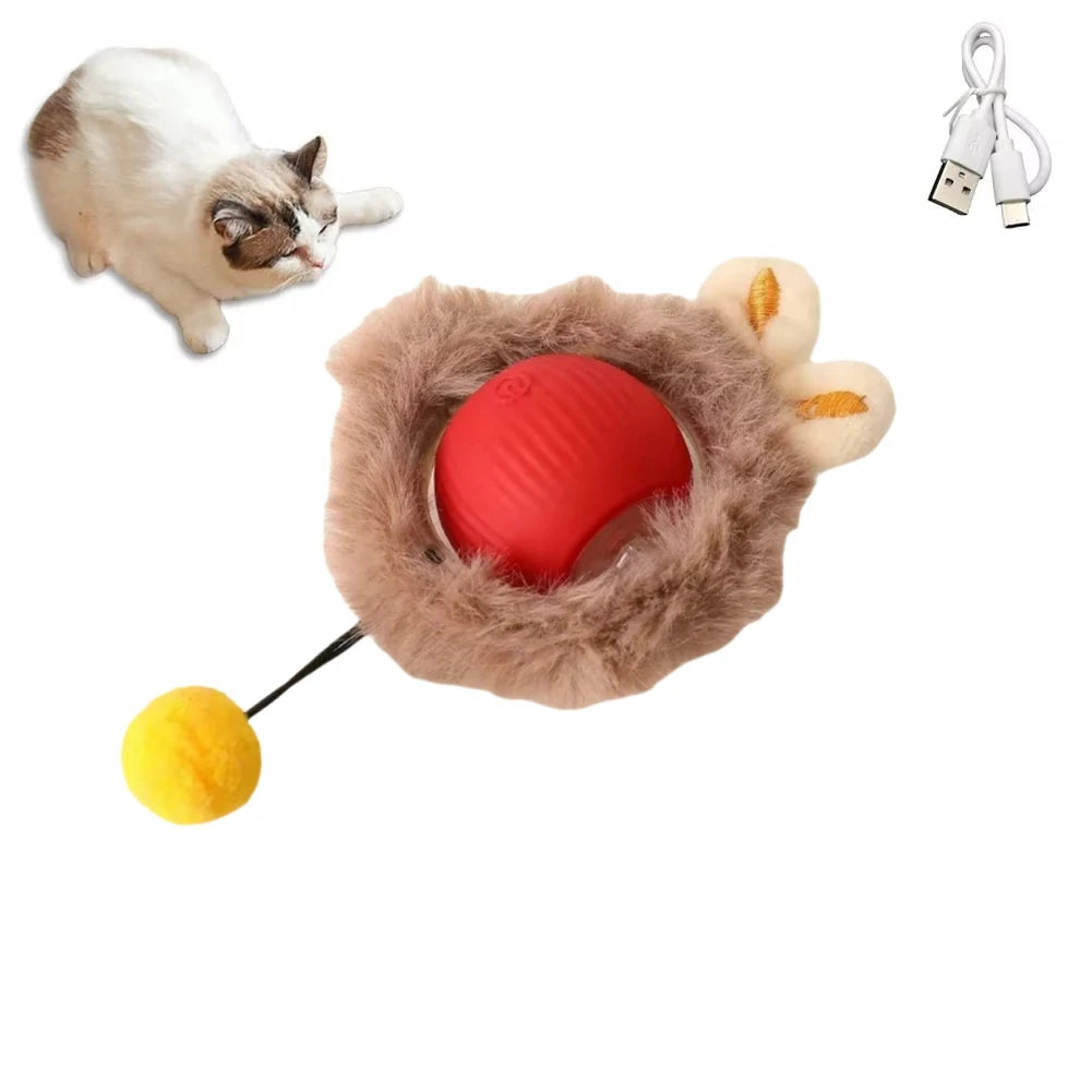 Automatic Cat Ball