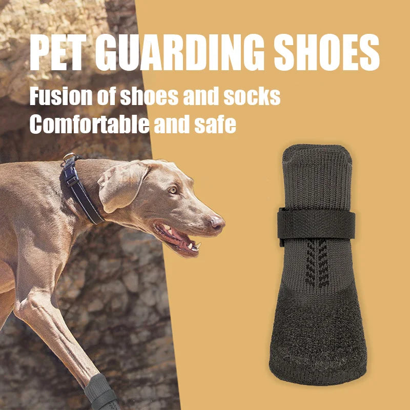 Pet guarding shoes