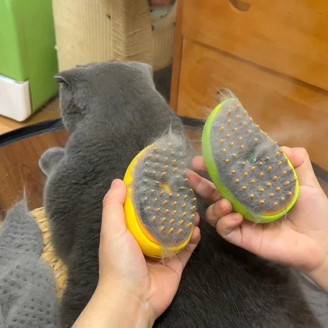 Rechargeable steam brush for cats