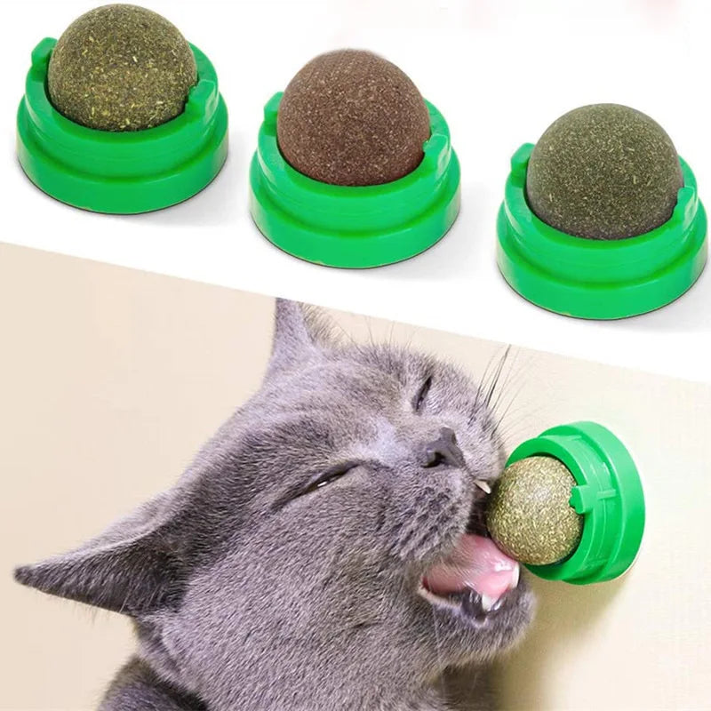 Natural Catnip Wall Stick-On Ball Toy