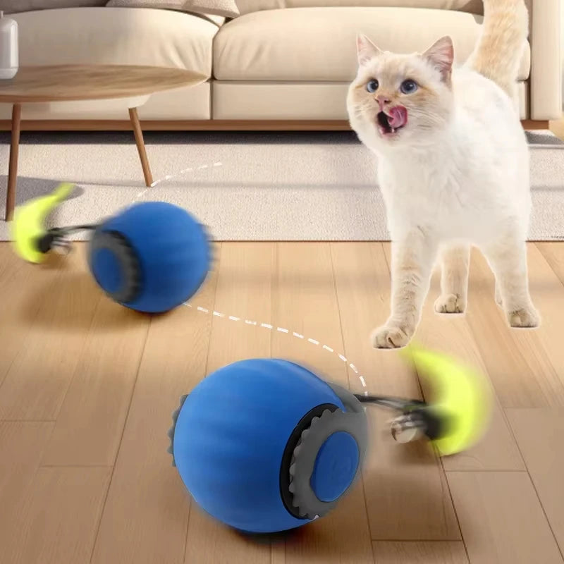 Automatic Cat Ball