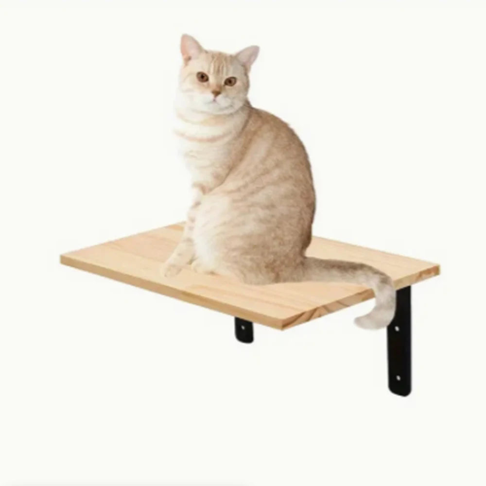 Wall Mounted Climbing Frame for Cats