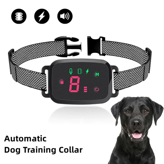 Automatic Dog Training Collar