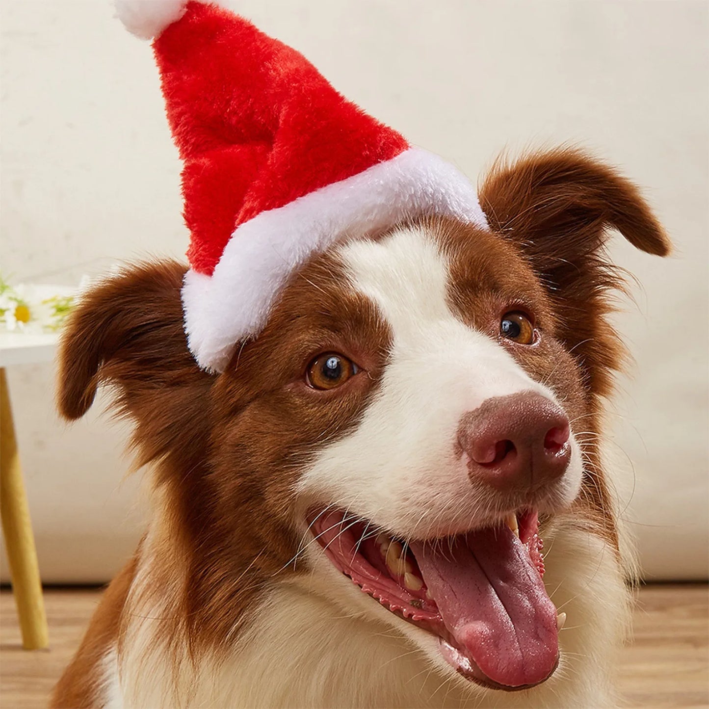 Santa hat for pets