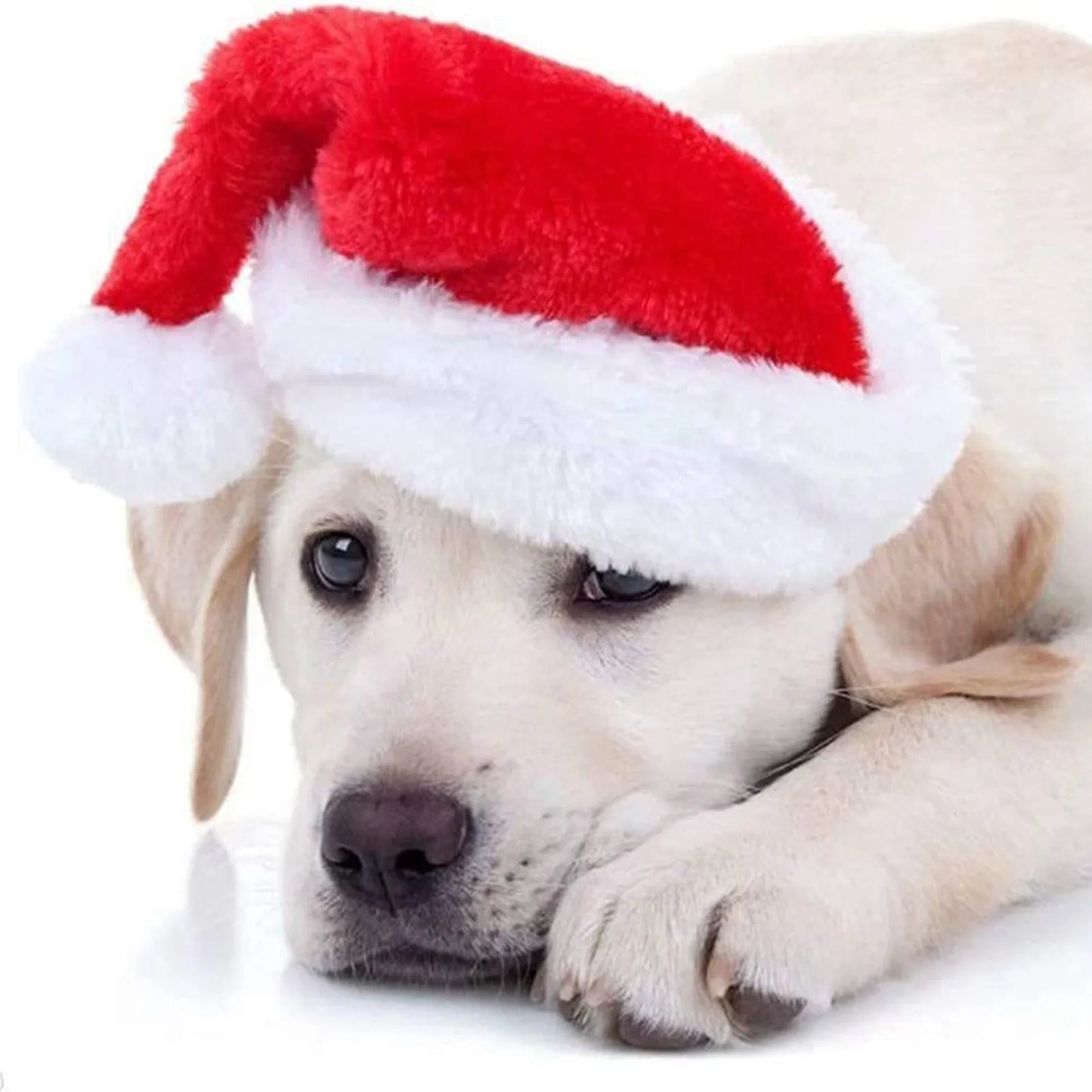 Santa hat for pets