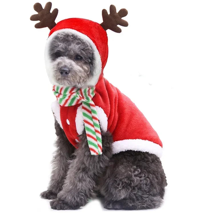 Christmas Dog Clothes