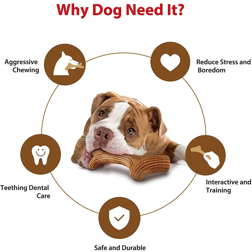 Antler Chewy Toy for Dogs