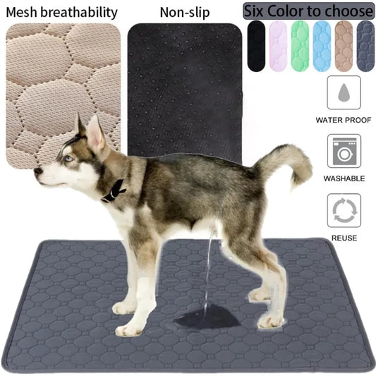 Reusable Training Pads