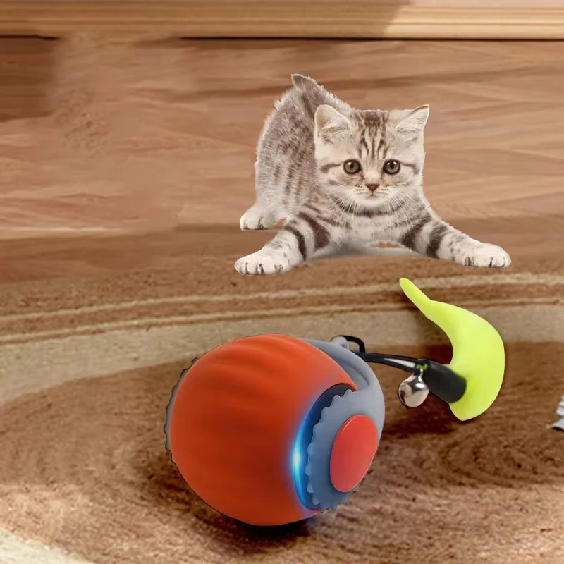 Automatic Cat Ball