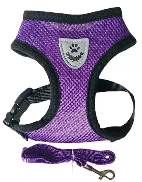 Reflective Mesh Harness & Leash Set