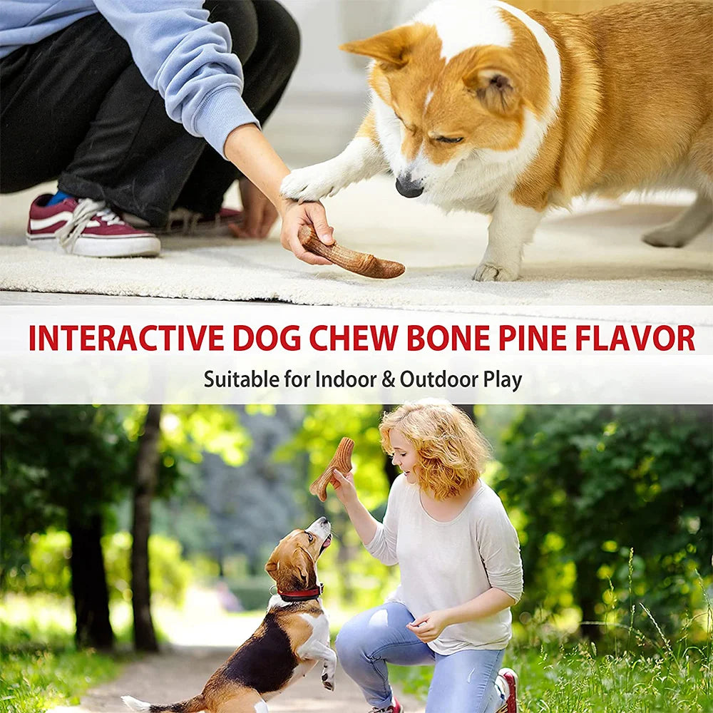 Antler Chewy Toy for Dogs