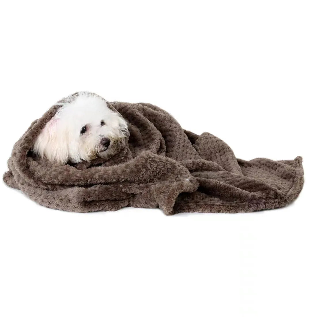 Blanket