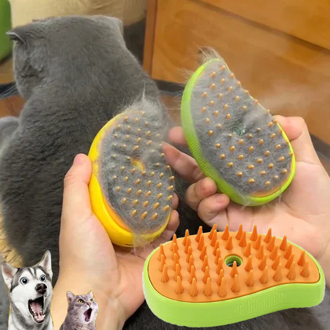 Rechargeable steam brush for cats