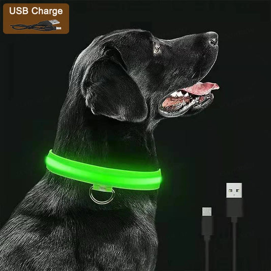 LED collar with USB charging