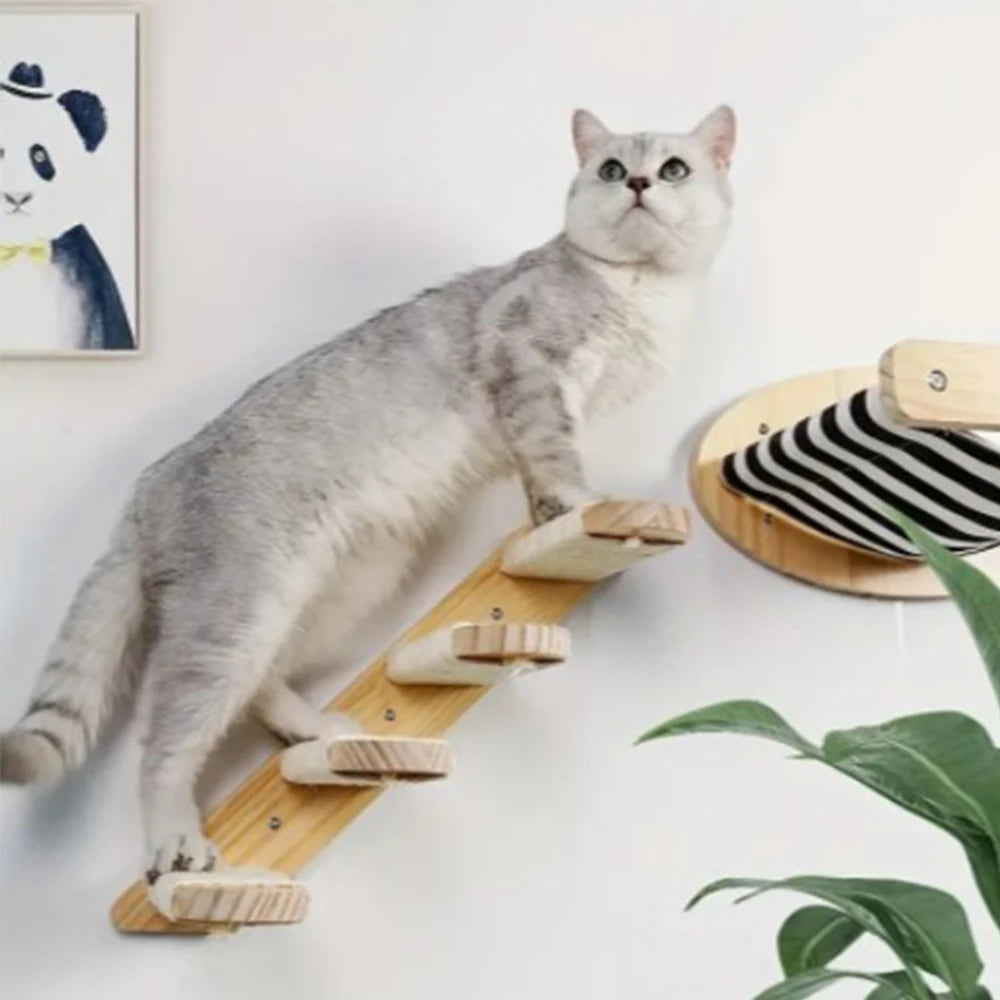 Wall Mounted Climbing Frame for Cats