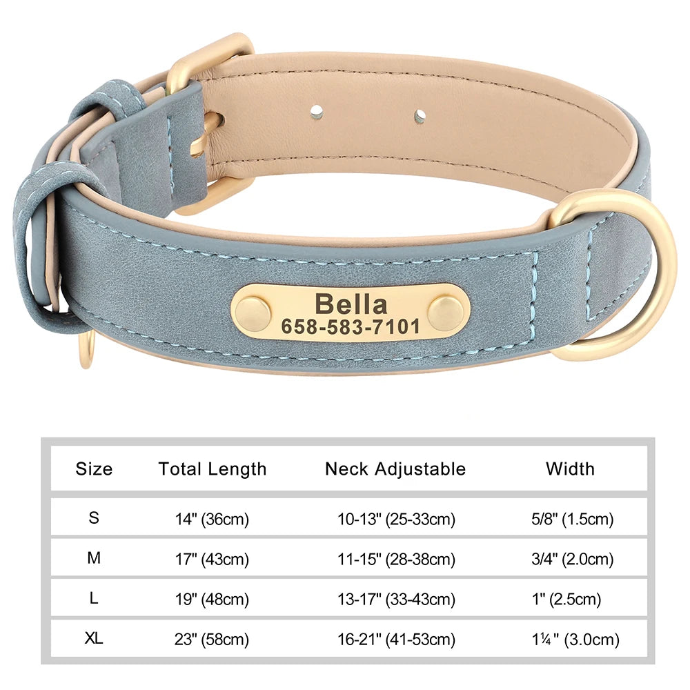 Personalized Dog Collar